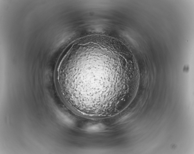 X0000092060747200709121354