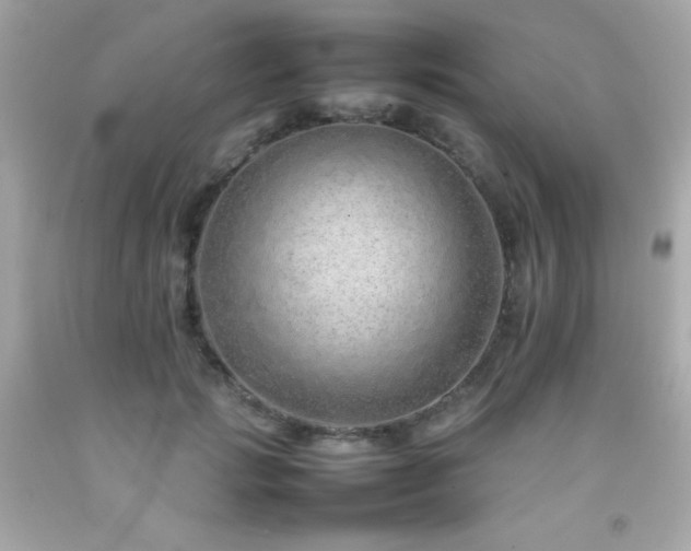 X0000092060749200709121354