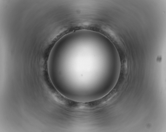 X0000092060750200709121354