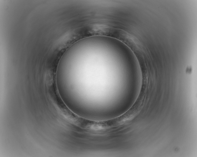 X0000092060751200709121354