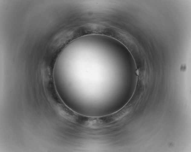 X0000092060752200709121354