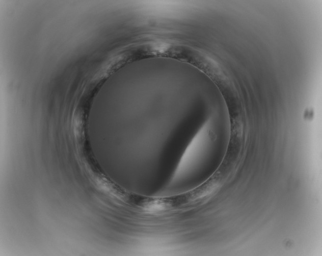 X0000092060754200709121354