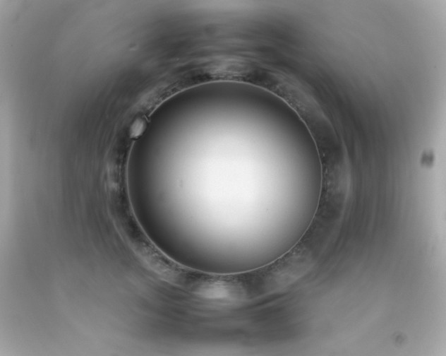 X0000092060755200709121354