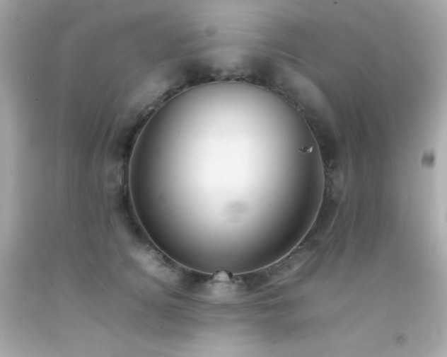 X0000092060756200709121354