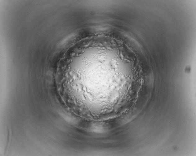 X0000092060757200709121354