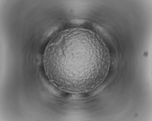 X0000092060758200709121354