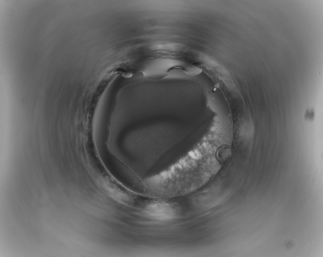 X0000092060759200709121354