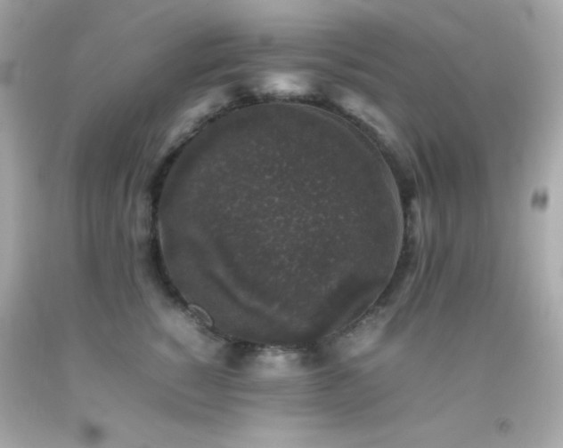 X0000092060760200709121354