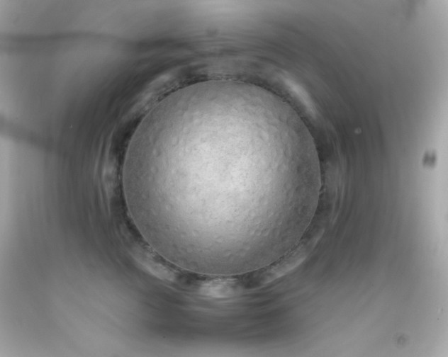 X0000092060761200709121354