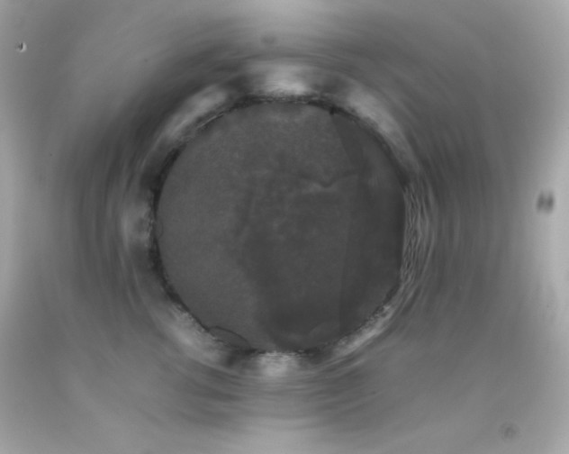 X0000092060762200709121354