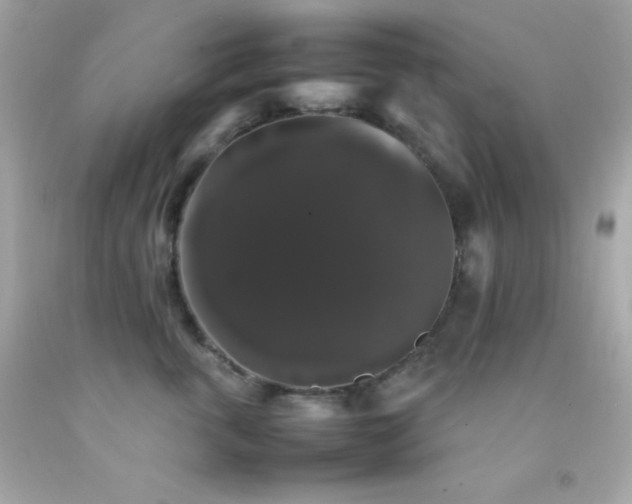 X0000092060763200709121354