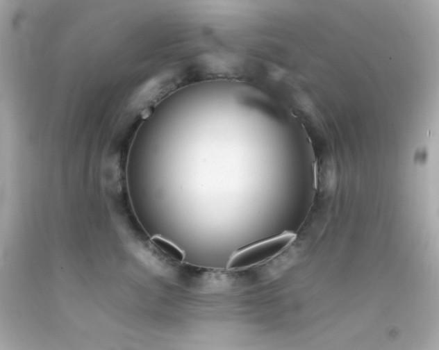 X0000092060764200709121354