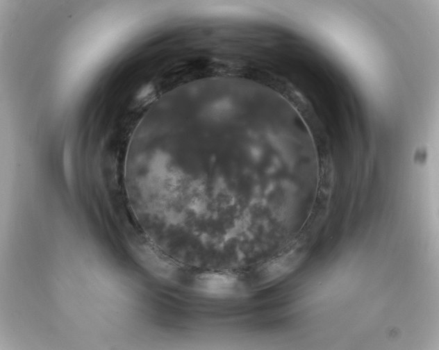 X0000092060765200709121354
