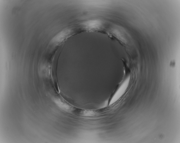 X0000092060766200709121354
