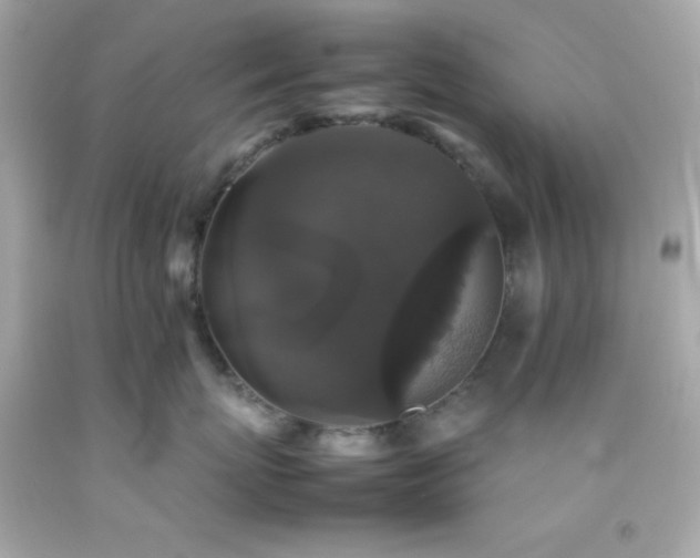 X0000092060767200709121354