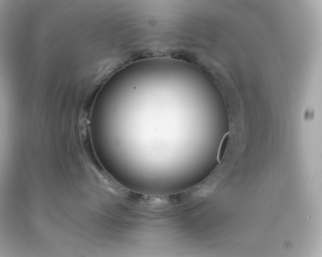 X0000092060768200709121354