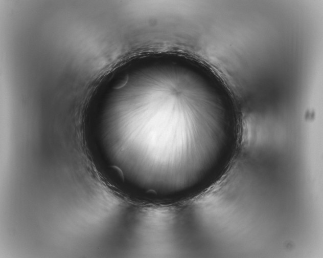 X0000092060770200709121354