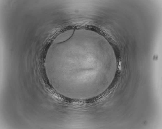 X0000092060771200709121353