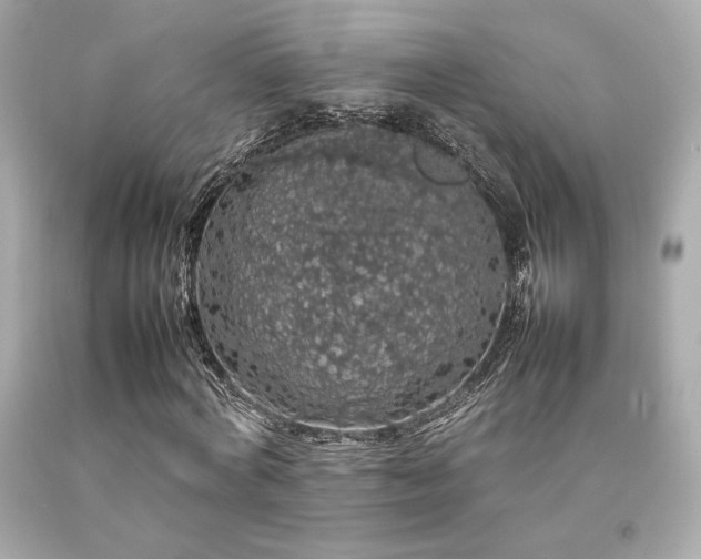X0000092060772200709121353