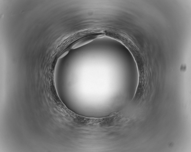 X0000092060773200709121353