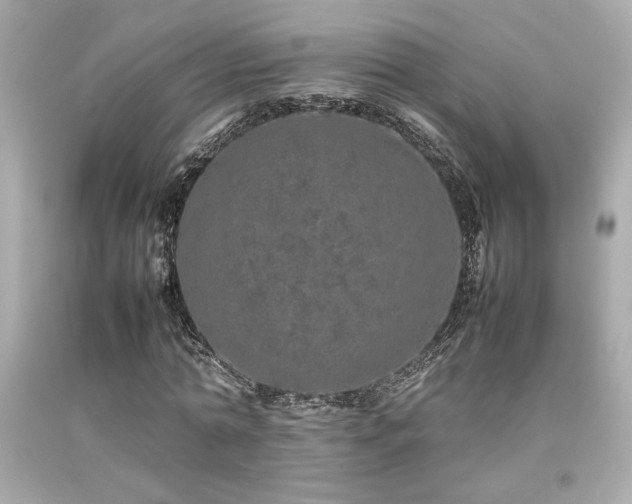X0000092060774200709121353