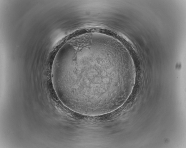 X0000092060775200709121353