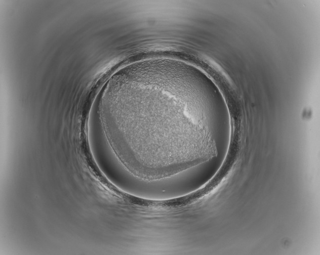 X0000092060777200709121353