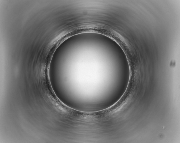X0000092060778200709121353