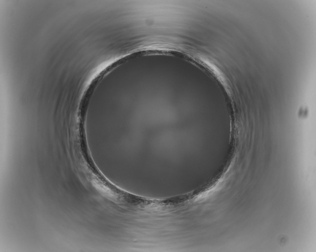 X0000092060779200709121353