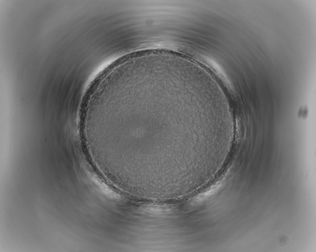 X0000092060780200709121353