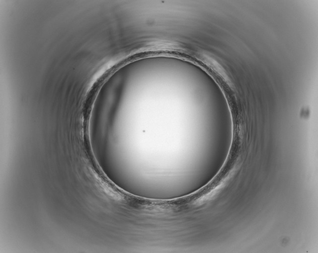 X0000092060781200709121353