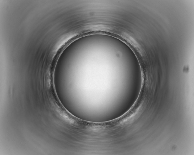 X0000092060782200709121353