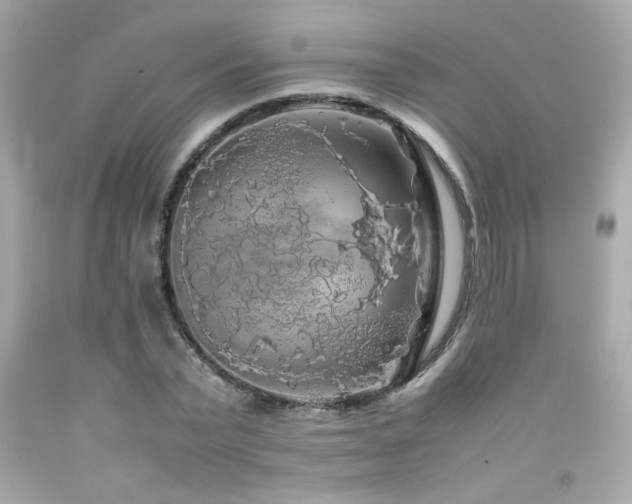 X0000092060783200709121353