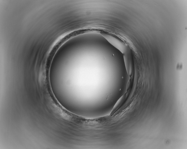X0000092060784200709121353
