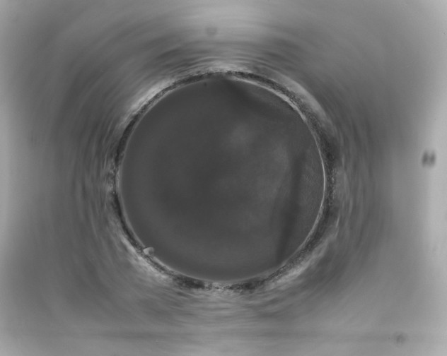 X0000092060785200709121353