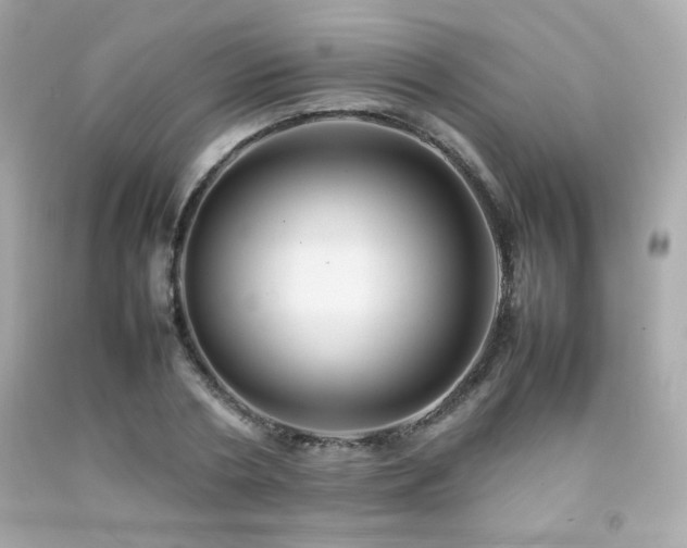 X0000092060786200709121353