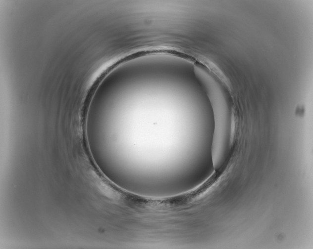 X0000092060789200709121353