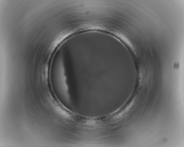 X0000092060790200709121353