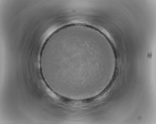 X0000092060791200709121353