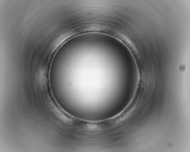 X0000092060794200709121353