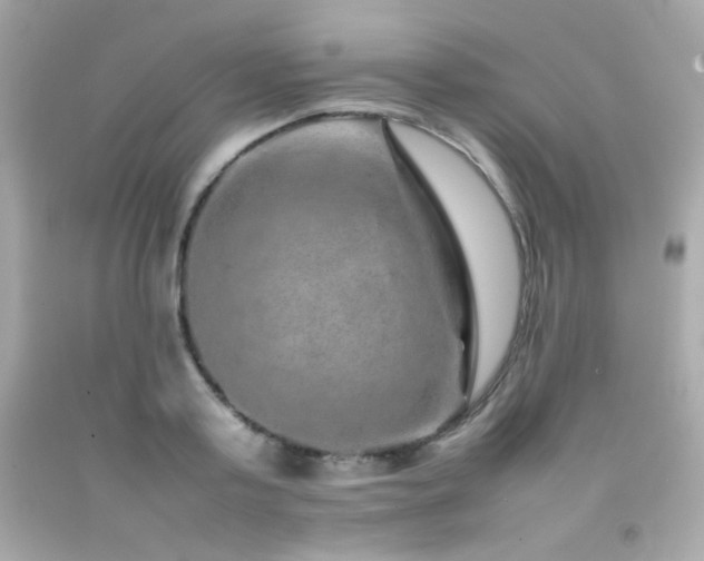 X0000092060795200709121353
