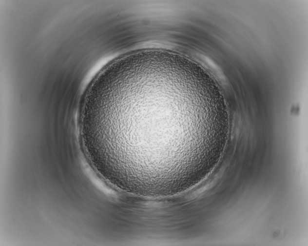 X0000092060796200709121353