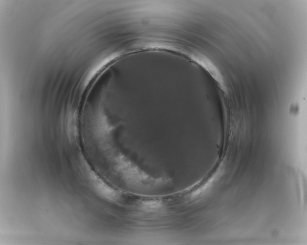 X0000092060798200709121353