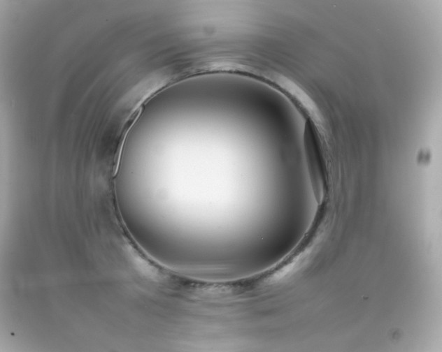 X0000092060801200709121353