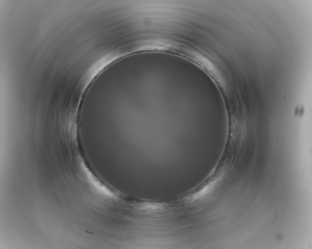 X0000092060802200709121353