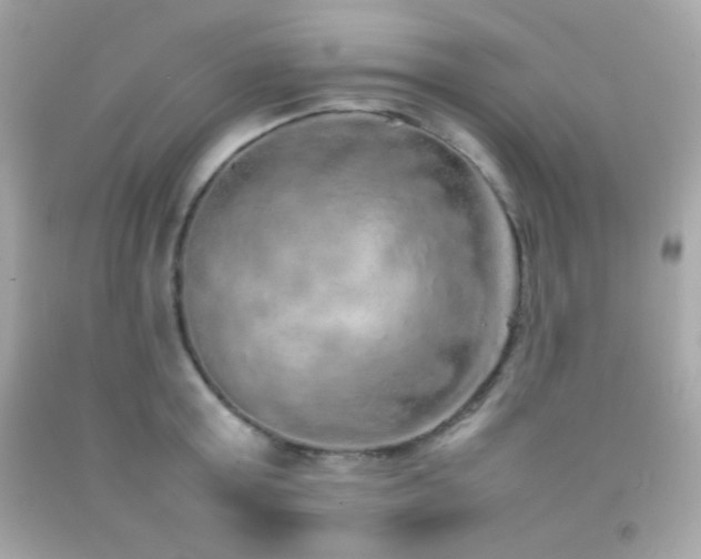X0000092060803200709121353