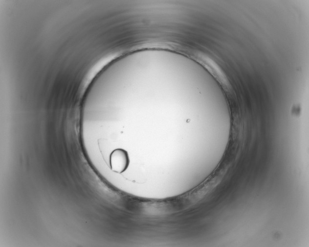 X0000092060804200709121353