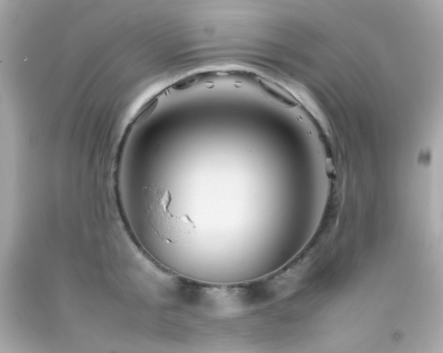 X0000092060805200709121353