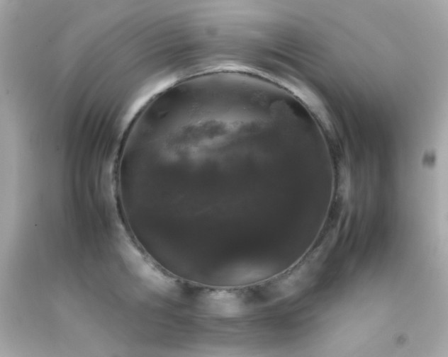 X0000092060806200709121353