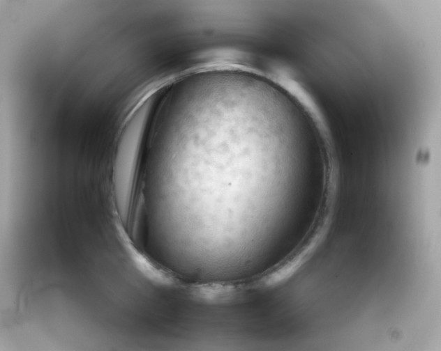 X0000092060809200709121353